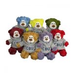 Colored Teddy Bear Shirts