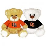 Custom Tee Shirt Teddy Bears